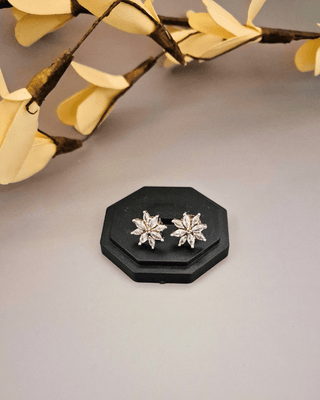 Zevarly Iliana Exclusive Swaroski CZ Stud