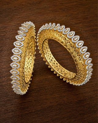 Zevarly Shivangi Pacheli Ad Bangles