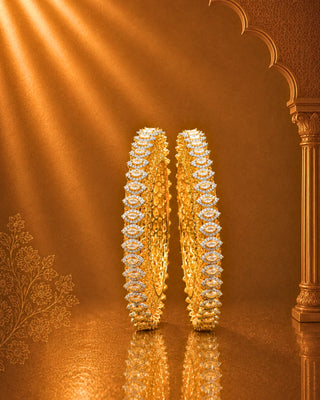Zevarly Shivangi Pacheli Ad Bangles
